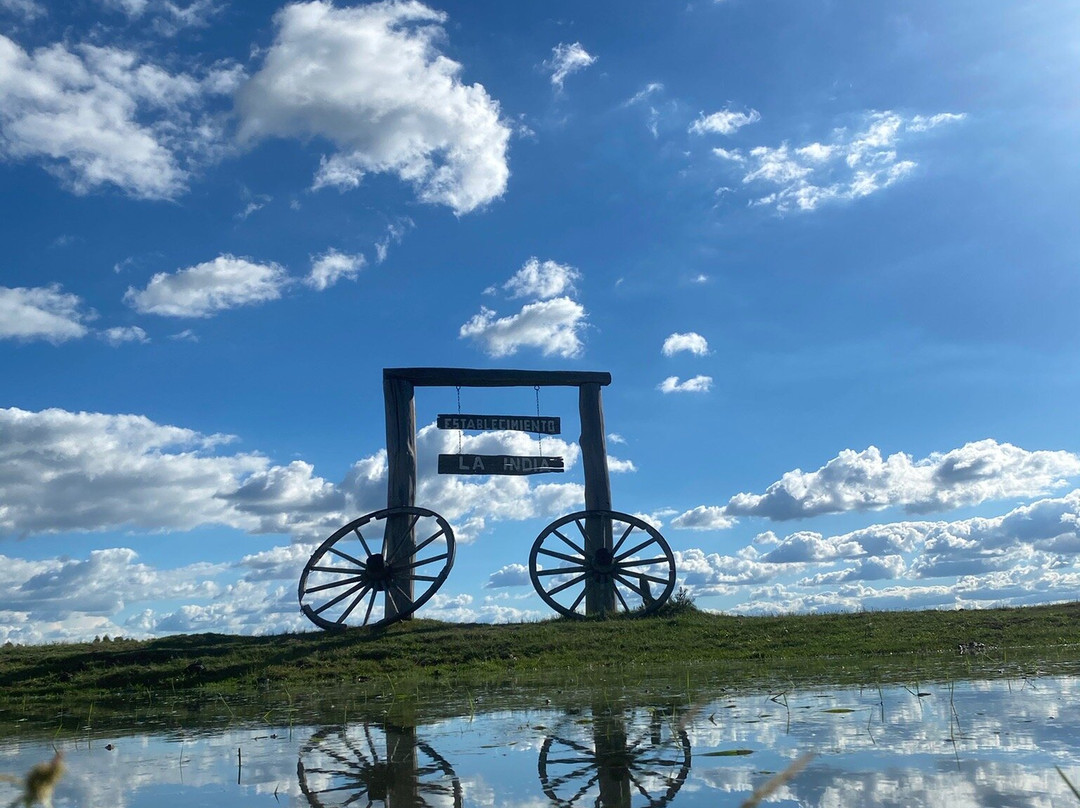 La India - Somos Naturaleza-Florida必去景点