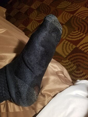 Quality Inn Bloomington Near University主图