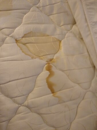 La Quinta Inn & Suites by Wyndham Macon-客卧