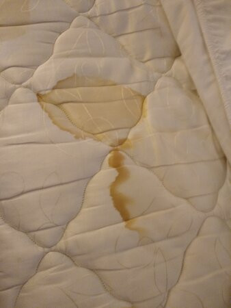 La Quinta Inn & Suites by Wyndham Macon主图