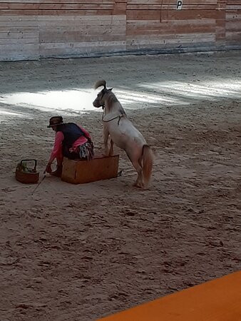 Haras National de Lamballe景点图片