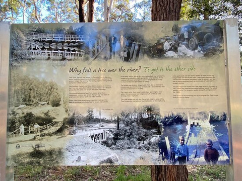 One Tree Bridge-Manjimup必去景点