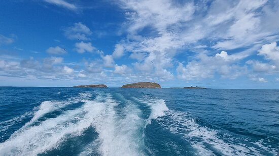 Parque Nacional Marinho dos Abrolhos-Caravelas必去景点