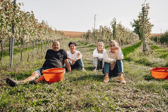 Hiša Joannes Protner Winery-Malecnik必去景点