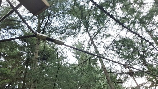 Go Ape Dalby-Thornton-Le-Dale必去景点