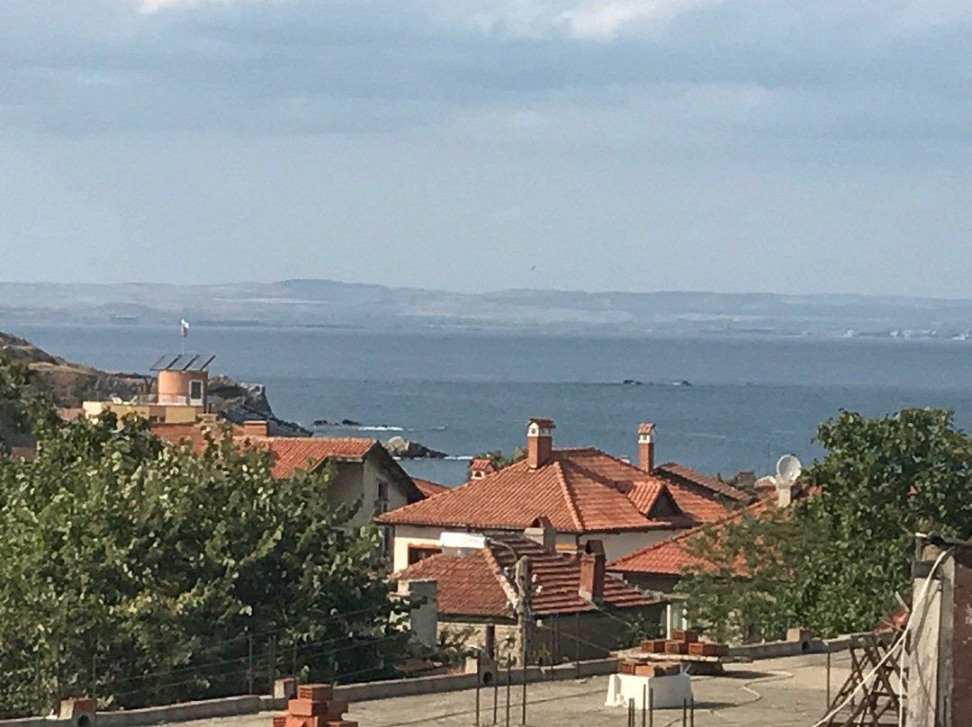 Atiya旅游攻略图片