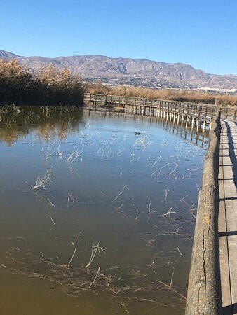 Parque Natural el Hondo-Crevillente必去景点