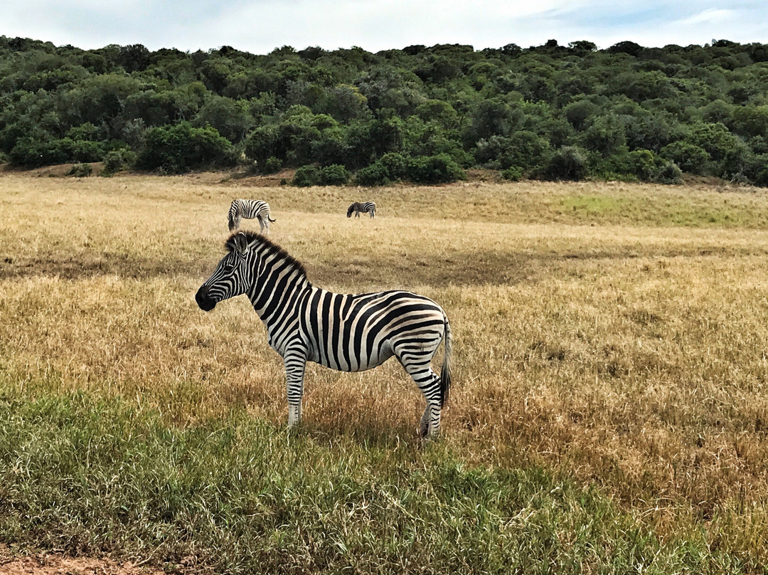 PHOGO TOURS AND TRAVEL