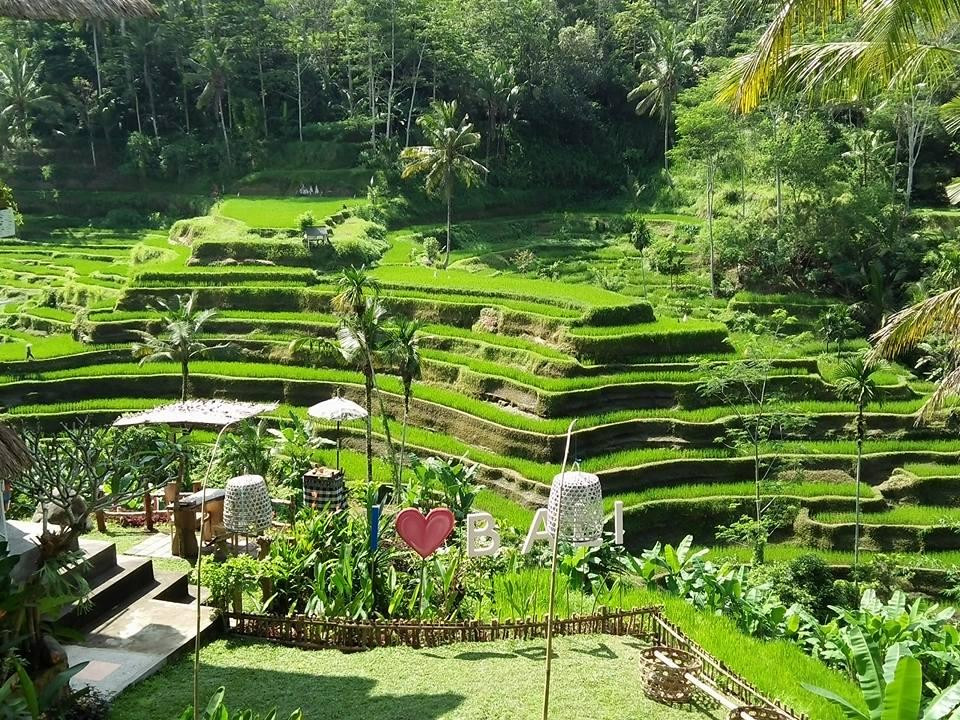 Nyoman Tours景点图片