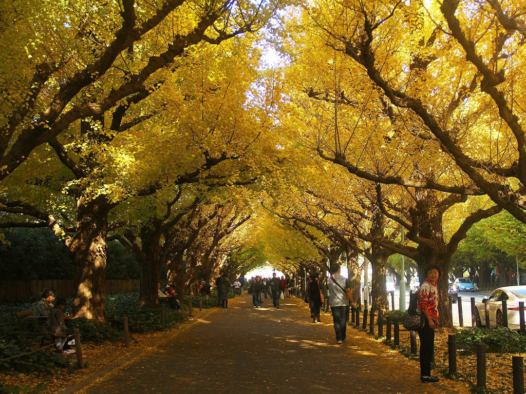 null-Marunouchi