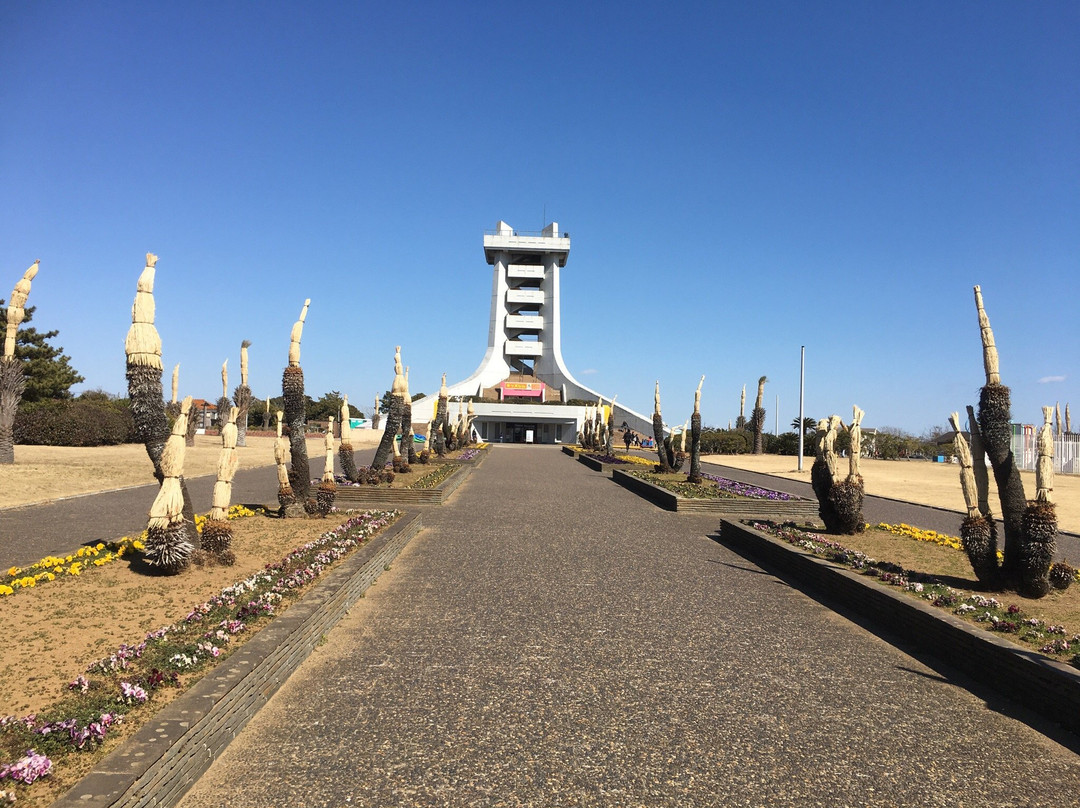 Hasunuma Ocean Park-山武市必去景点