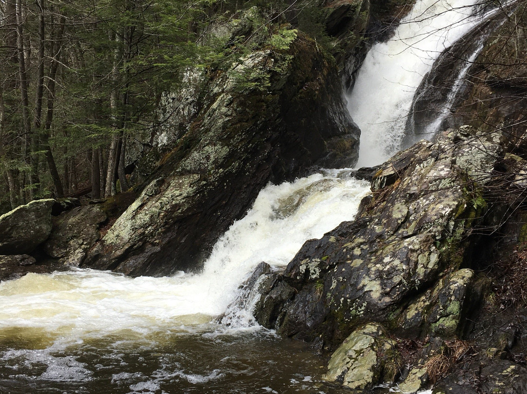 Campbell Falls State Park景点图片