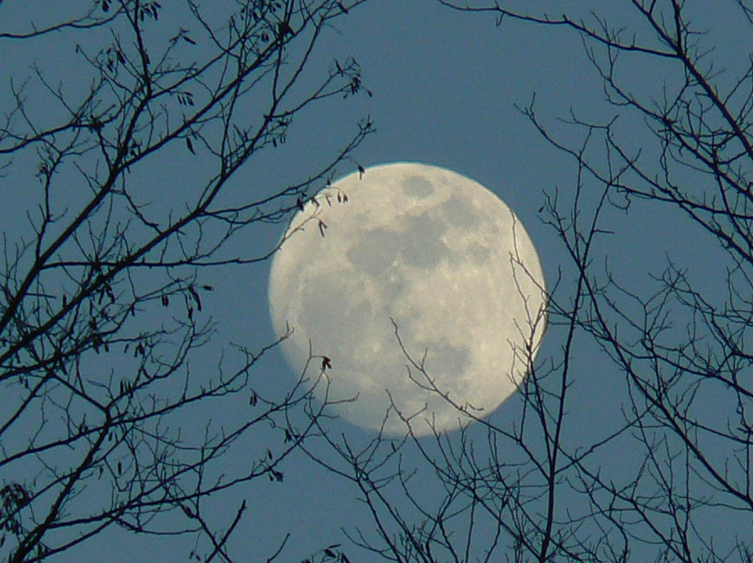 Corgeno旅游攻略图片