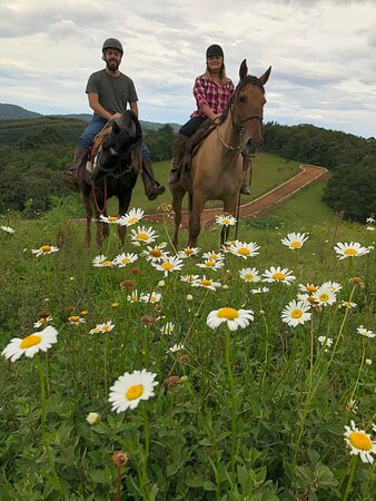 Haras Encanto Horse-蒙特贝尔德必去景点