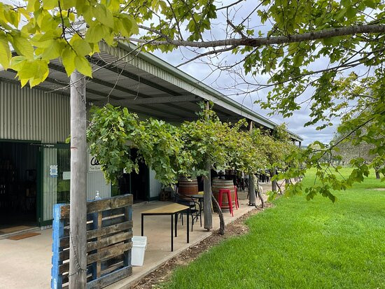 The Olive Nest & 1838 Wines-马奇必去景点