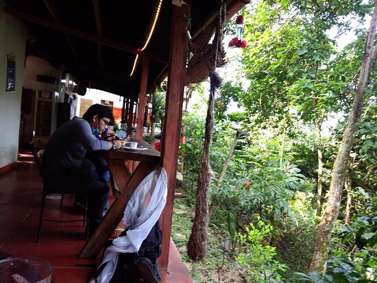 Hostal Finca San Rafael-餐饮