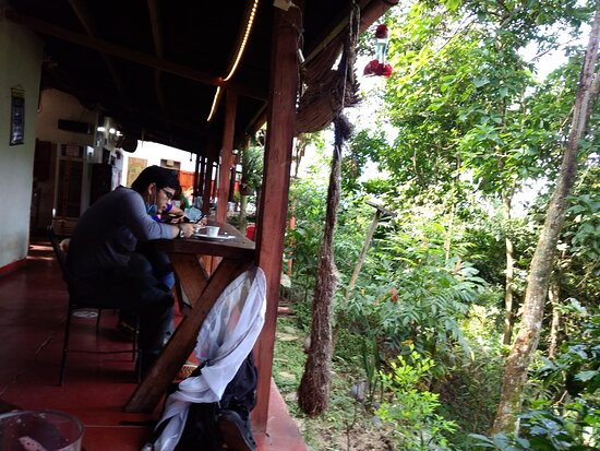 Hostal Finca San Rafael主图