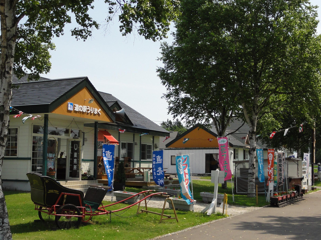 鹿追町旅游景点-Shikaoicho Riding Park
