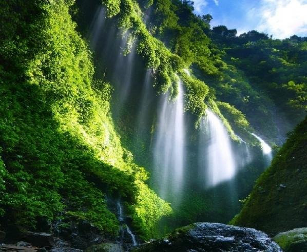 Madakaripura Waterfall景点图片