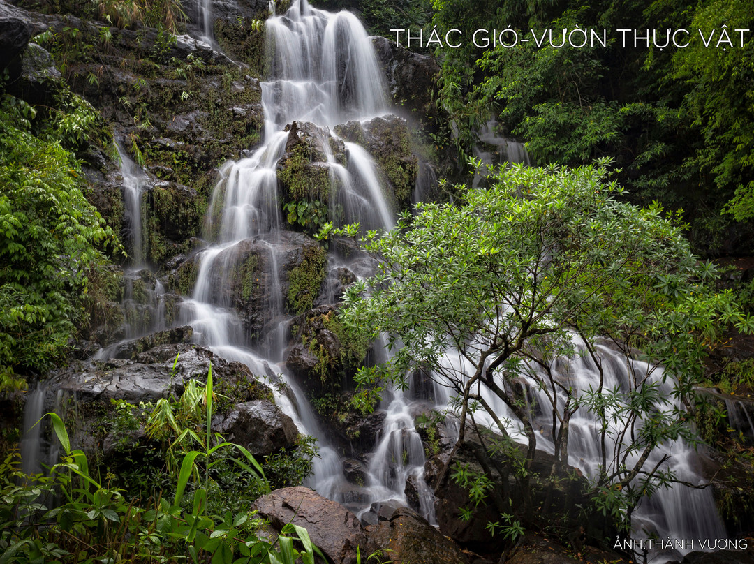 Phong Nha Botanic Garden景点图片