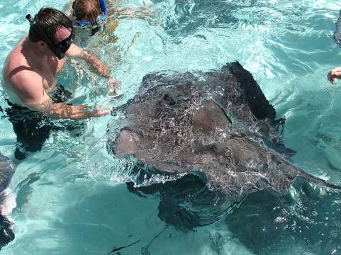 Native Way Charters-七哩滩必去景点