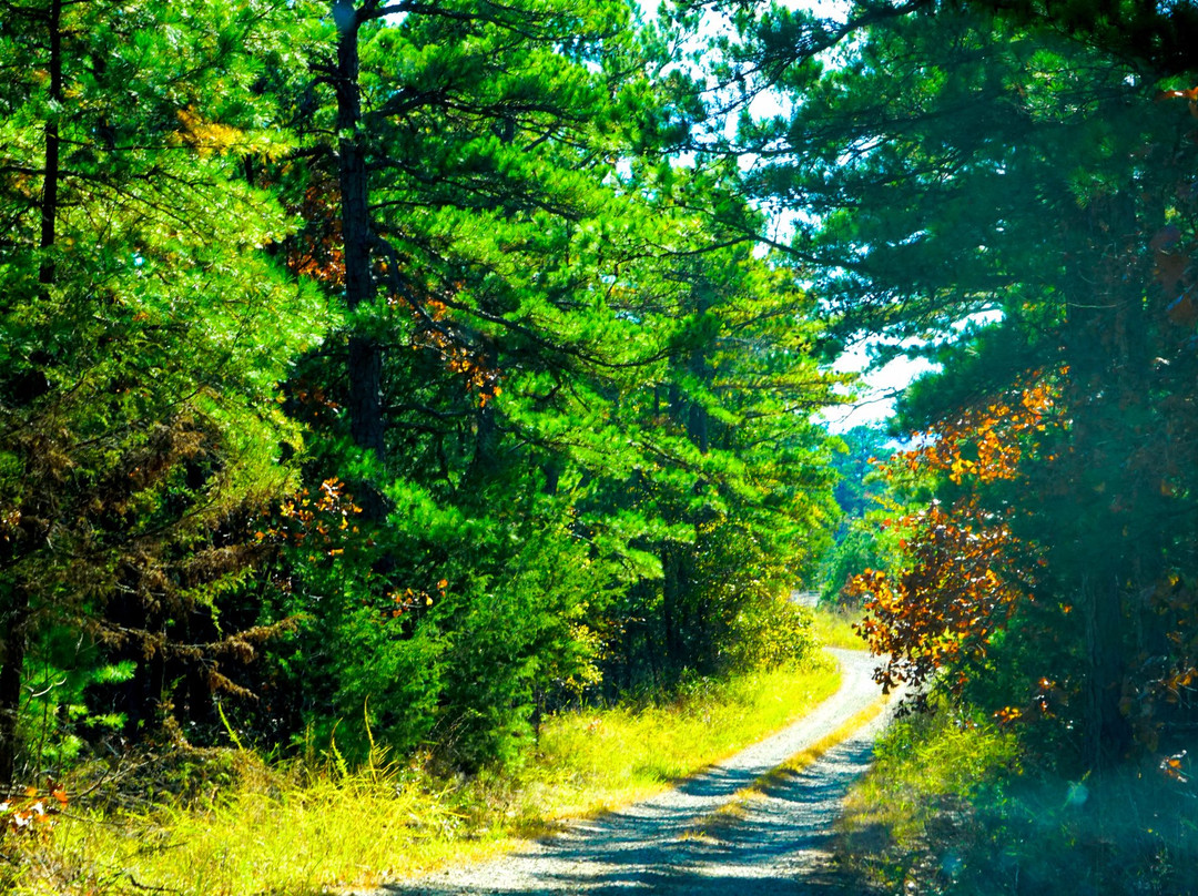 Heavener旅游攻略图片