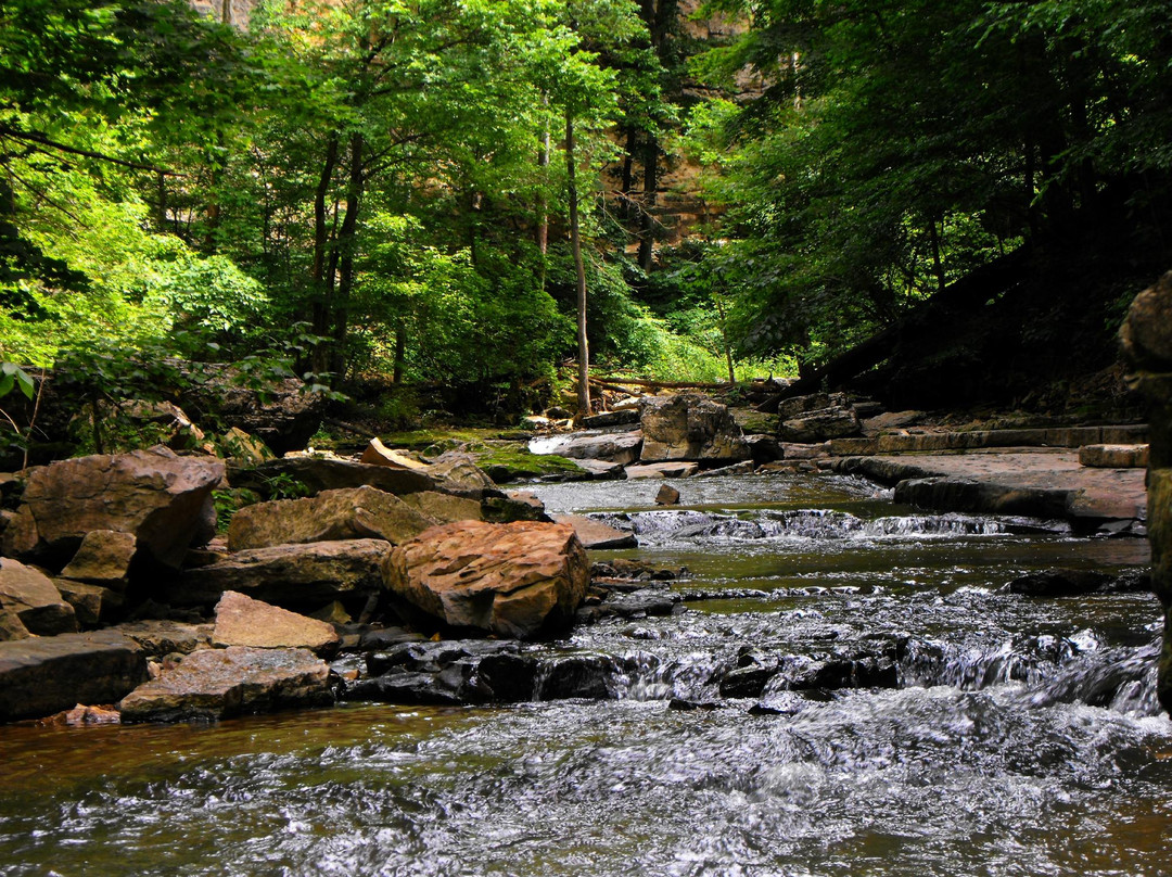 McCormick's Creek State Park景点图片