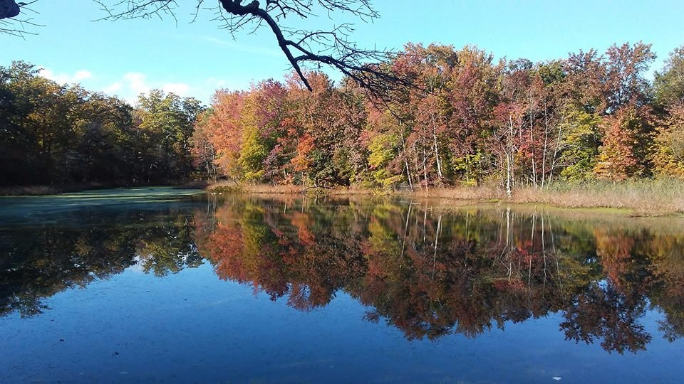 Pasadena旅游攻略图片