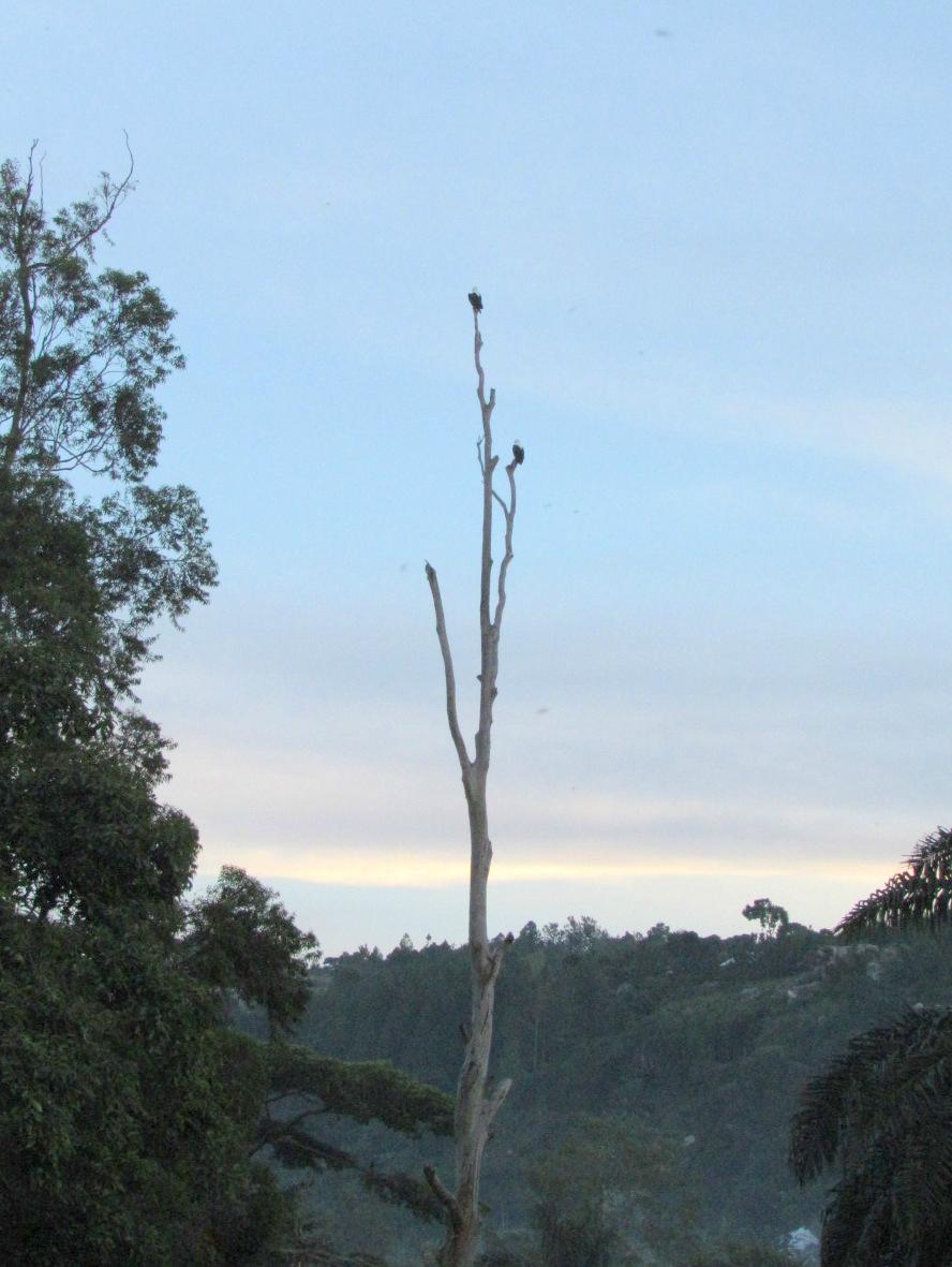 Bukoba Co-op Beach Hotel-客卧