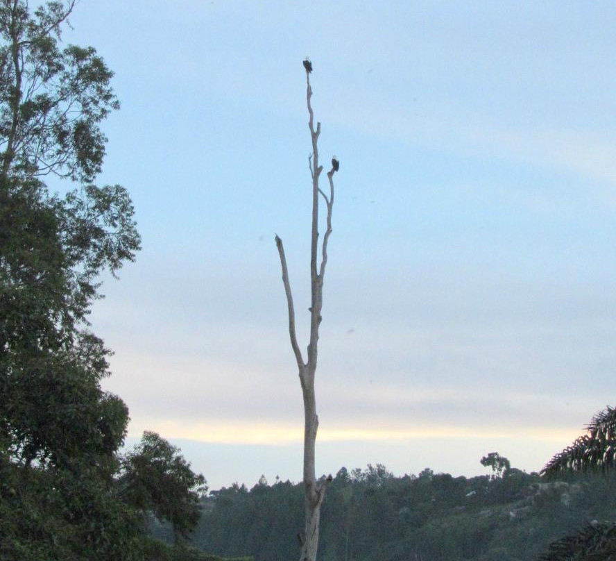 布科巴酒店住宿-Bukoba Co-op Beach Hotel