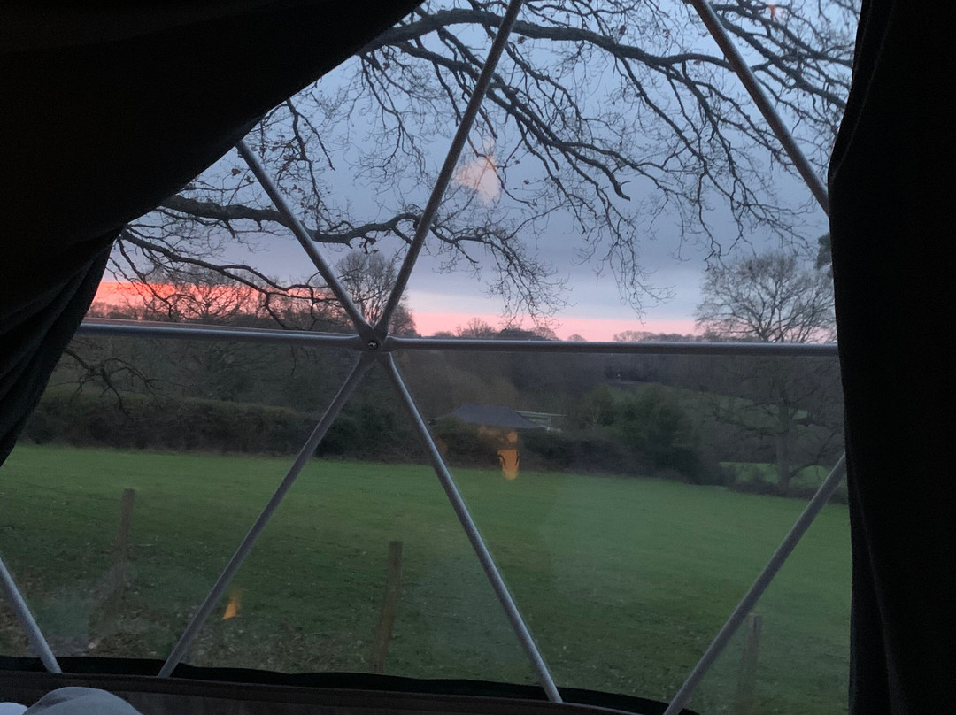 Chiddingstone Hoath旅游攻略图片