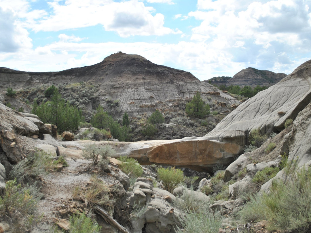 Makoshika State Park景点图片