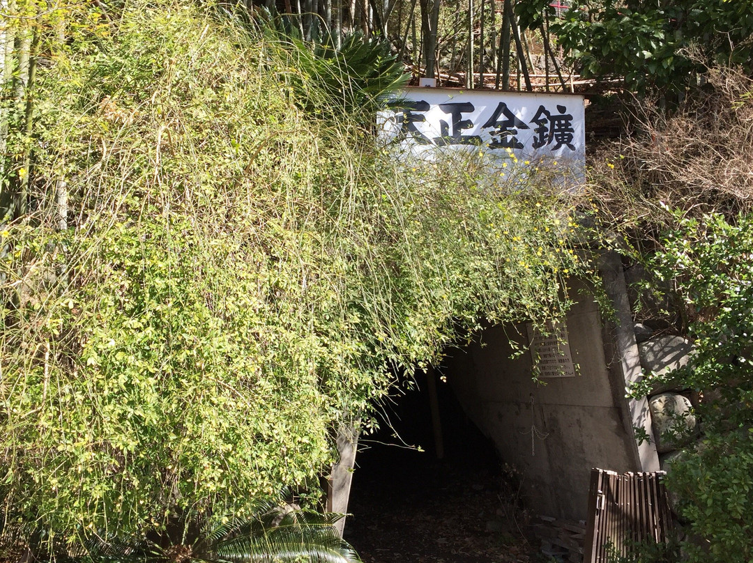 Kantsuki Tensho Kimko-伊豆市必去景点