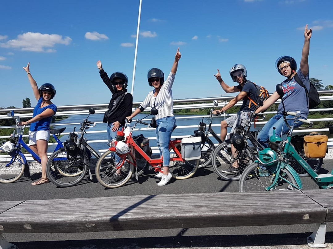 La Loire À Vélosolex-Checy必去景点