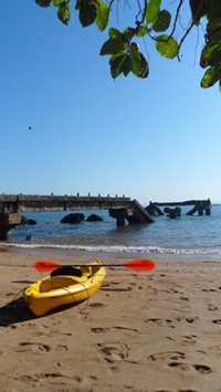 Octopus Surf School Goa