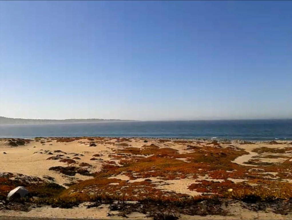 Venice Beach in Half Moon Bay