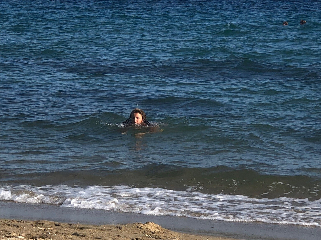 Gerakini Beach景点图片