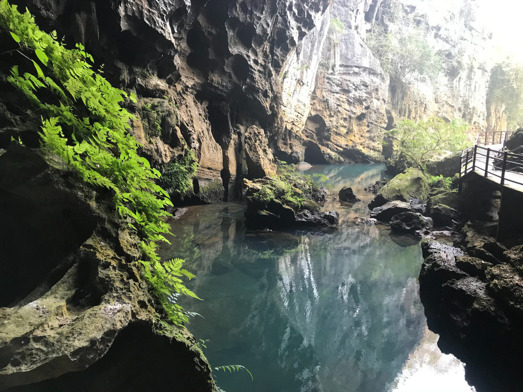 Dark Cave Phong Nha Tours景点图片