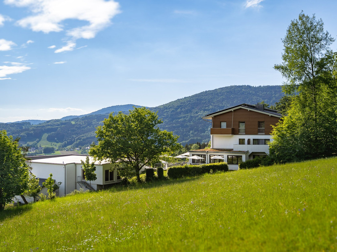 Thula Wellnesshotel Bayerischer Wald主图