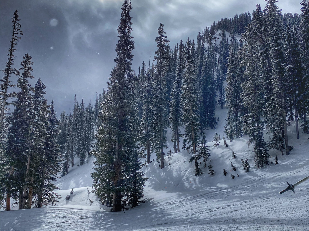 陶斯滑雪谷-Taos Ski Valley必去景点