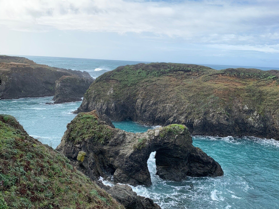 Mendocino Headlands State Park景点图片