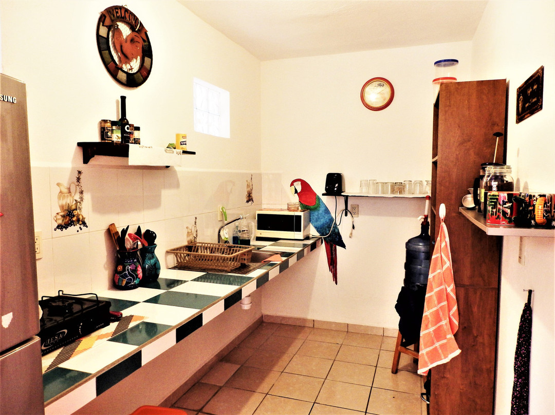 Hotelito Swiss Oasis主图