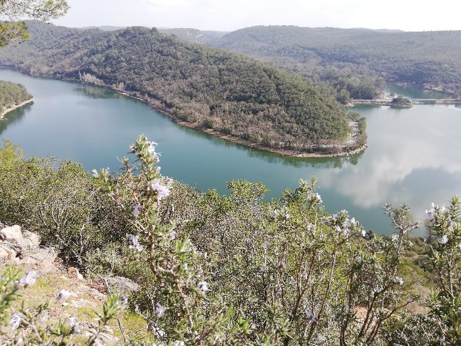 Lac de Carcès景点图片