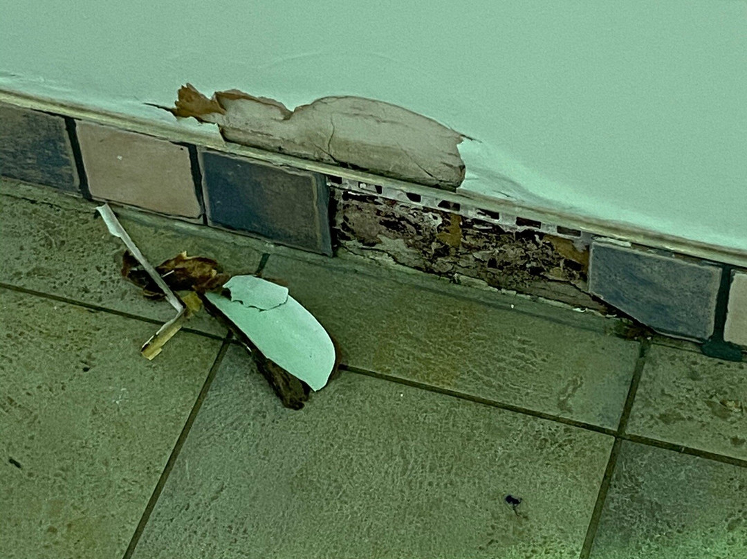 Super 8 by Wyndham Caraquet主图