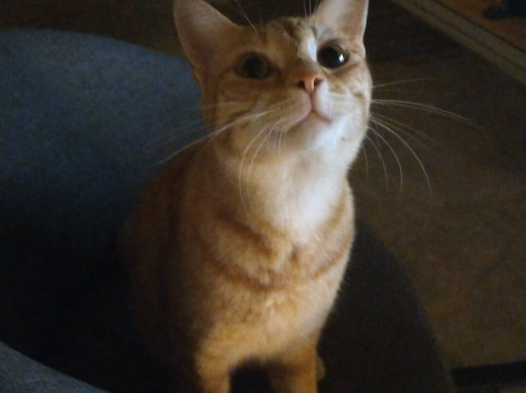 Jaiyen Eco Resort主图