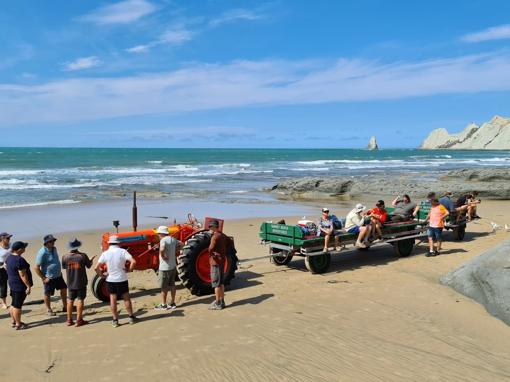 Gannet Beach Adventures景点图片
