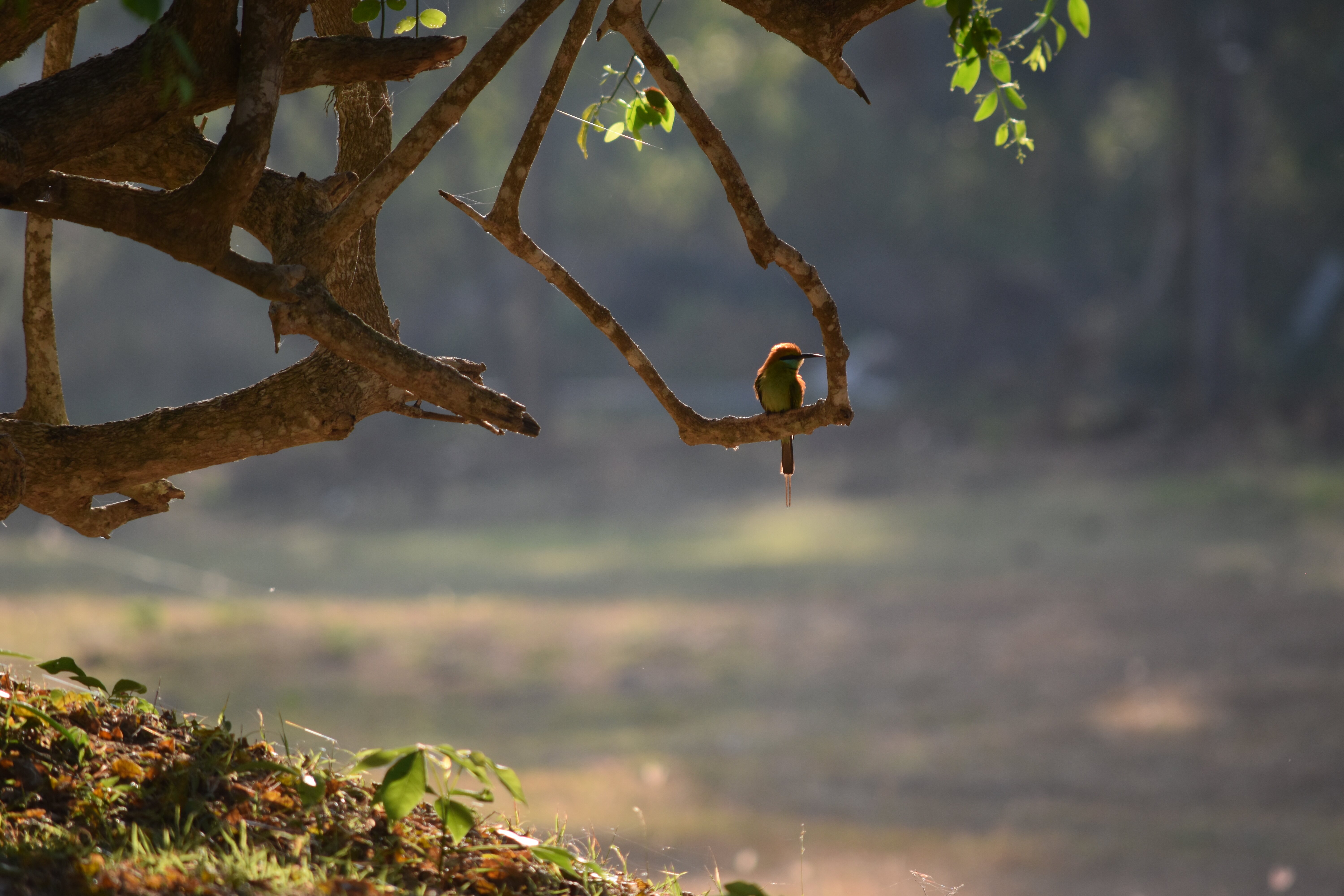 The Oasis Ayurveda Beach Resort-浴室