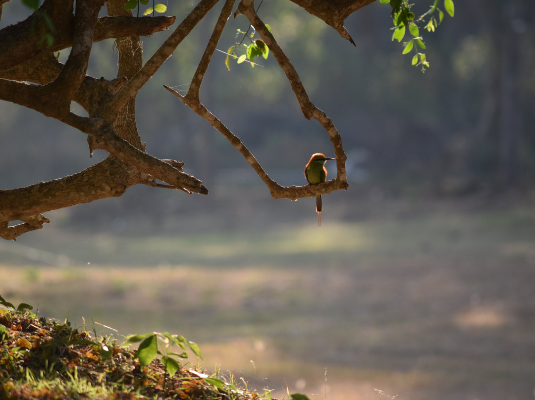 The Oasis Ayurveda Beach Resort主图