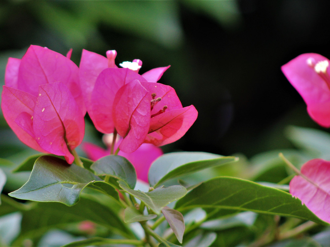 Pousada Salto Sete主图