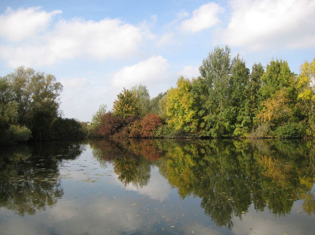 Etangs de Romelaere景点图片